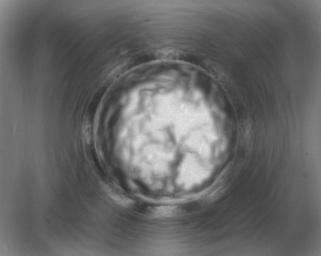 X0000082200090200702021855