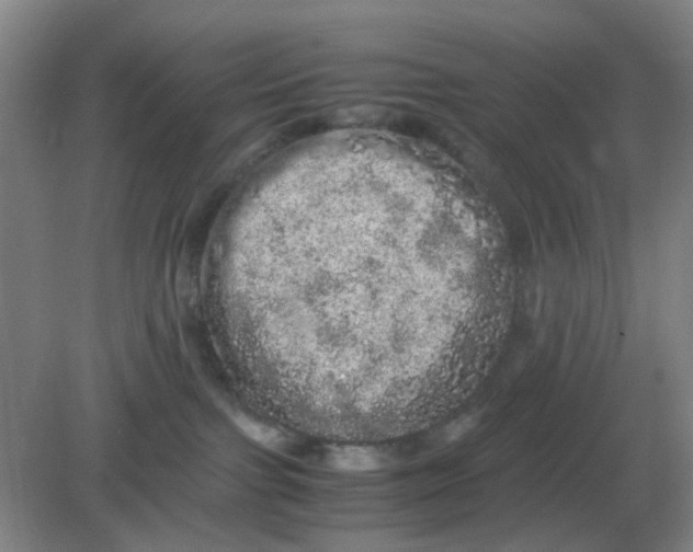 X0000082200091200702021855