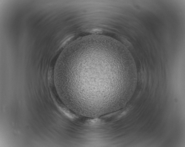 X0000082200092200702021855