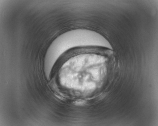 X0000082200093200702021855