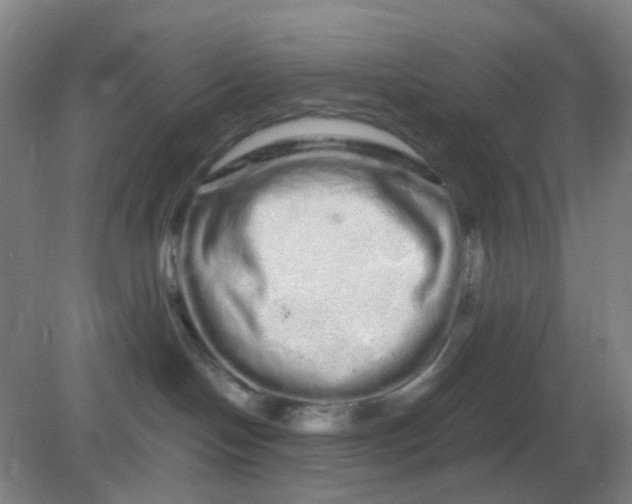 X0000082200094200702021855