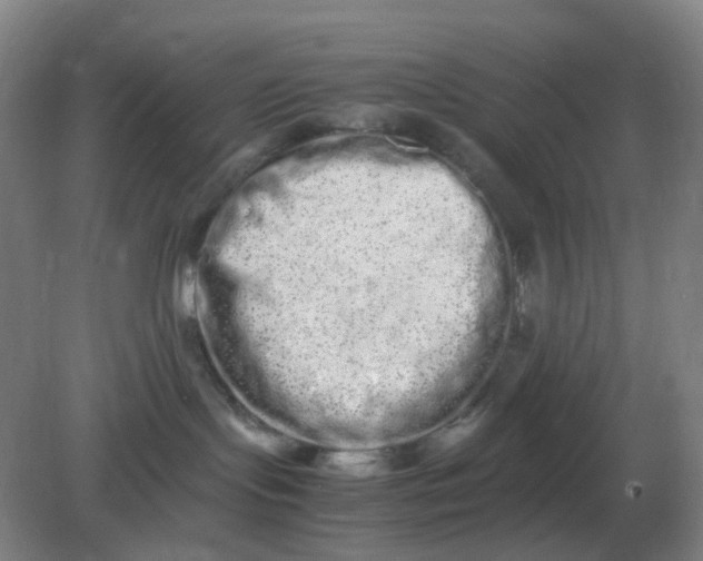 X0000082200095200702021855