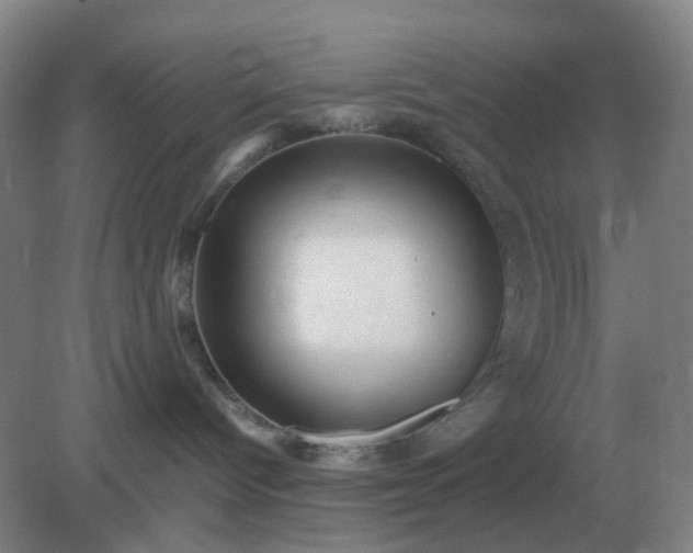 X0000082200096200702021855