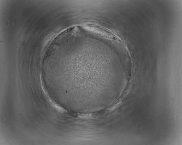 X0000082200097200702021854