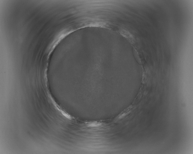 X0000082200098200702021854