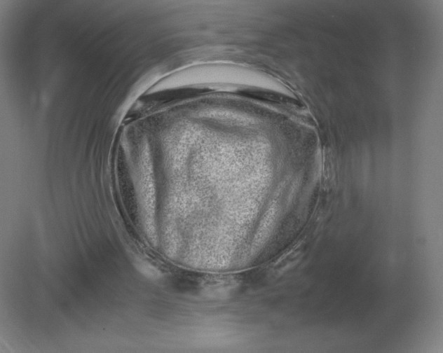 X0000082200099200702021854