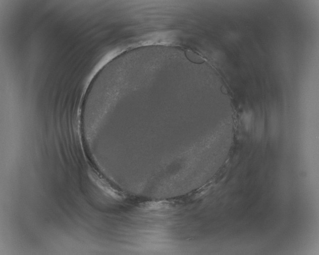 X0000082200100200702021854