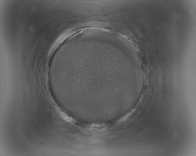 X0000082200101200702021854