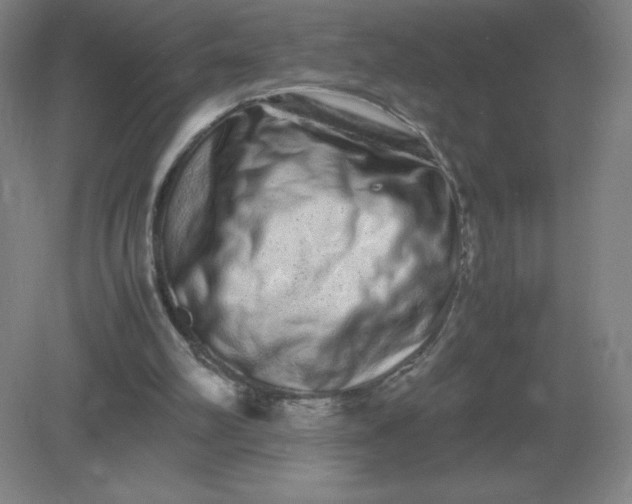 X0000082200102200702021854