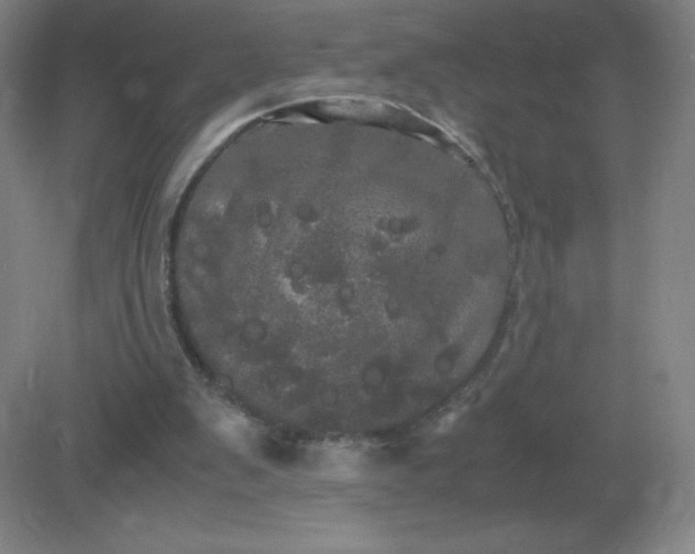 X0000082200103200702021854