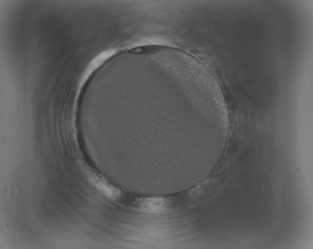 X0000082200104200702021854