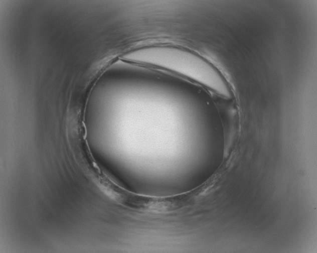 X0000082200105200702021854