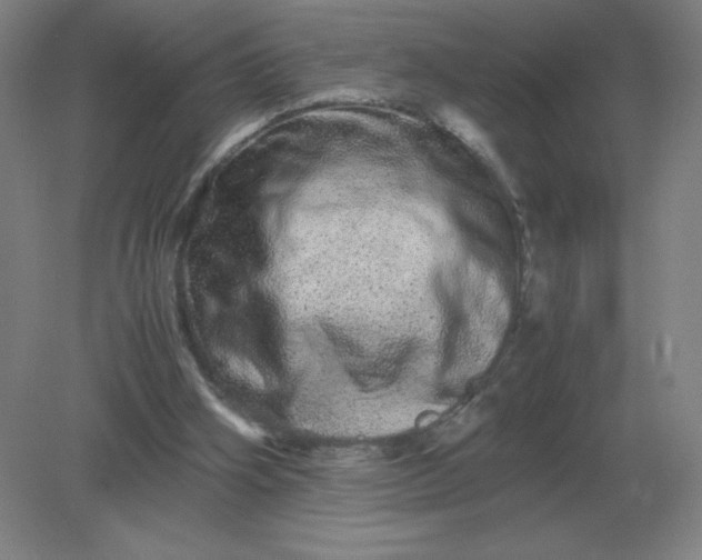 X0000082200106200702021854