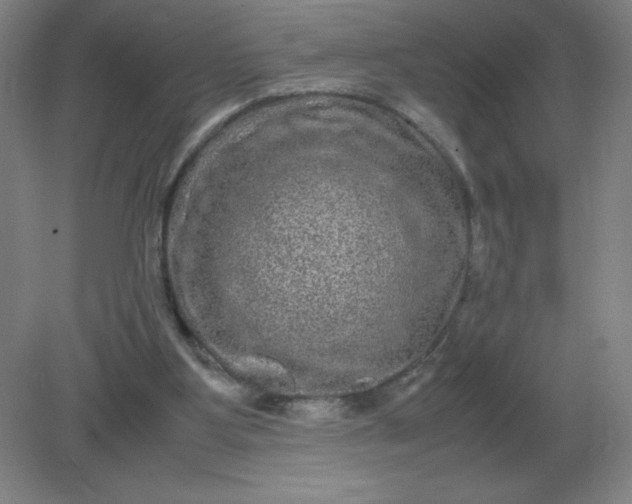 X0000082200107200702021854