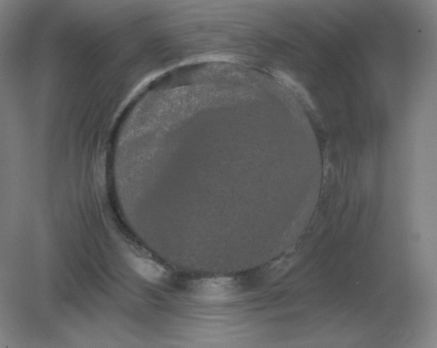 X0000082200108200702021854