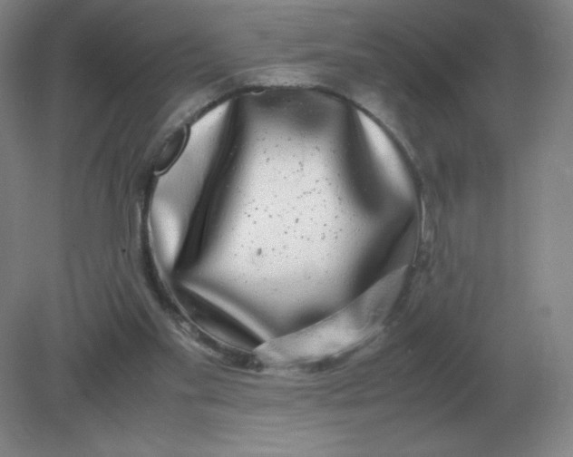 X0000082200109200702021854