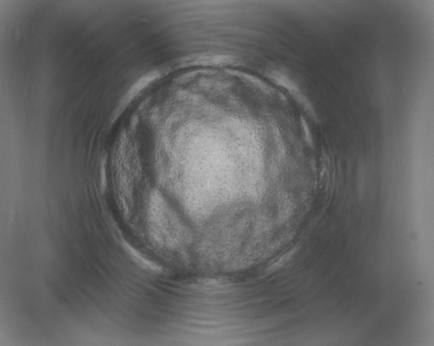 X0000082200110200702021854