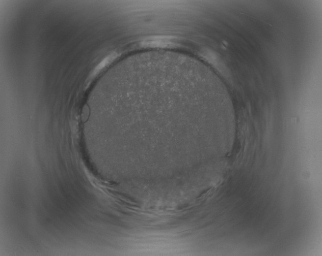 X0000082200111200702021854