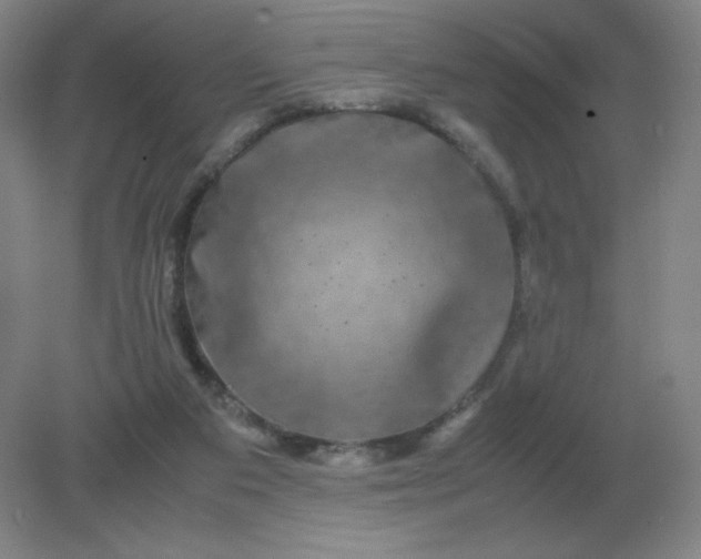 X0000082200113200702021854