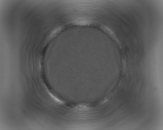 X0000082200114200702021854