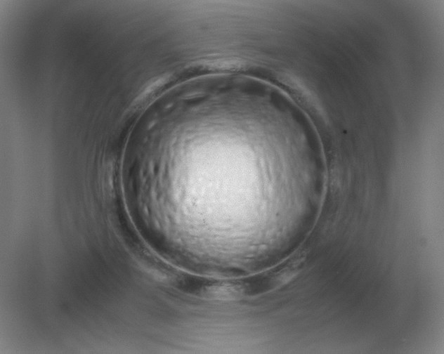 X0000082200115200702021854