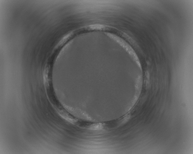 X0000082200116200702021854