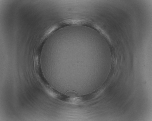 X0000082200117200702021854