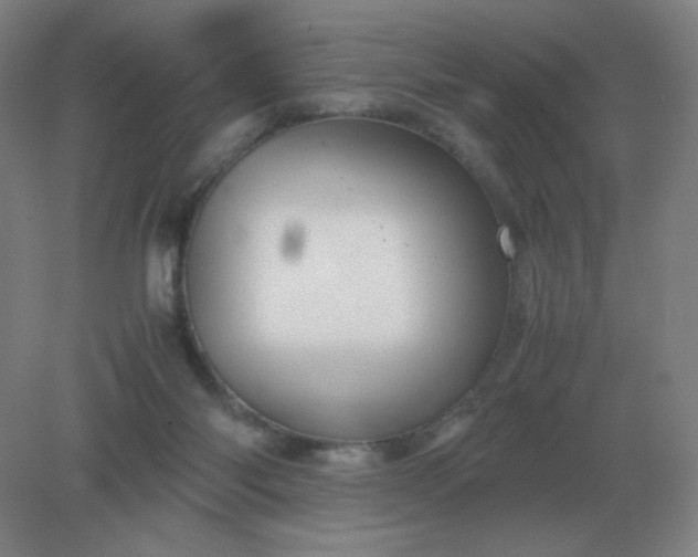 X0000082200118200702021854