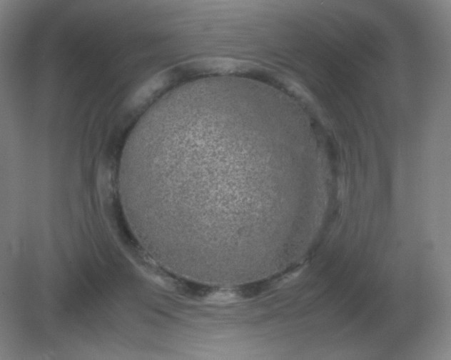 X0000082200119200702021854