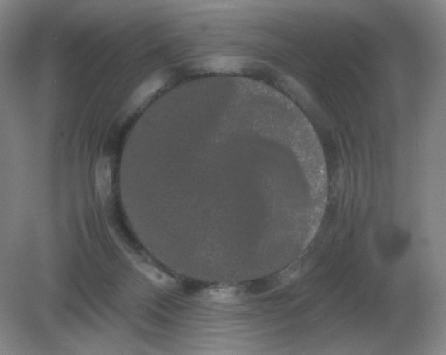 X0000082200120200702021854