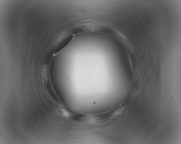 X0000082200121200702021854