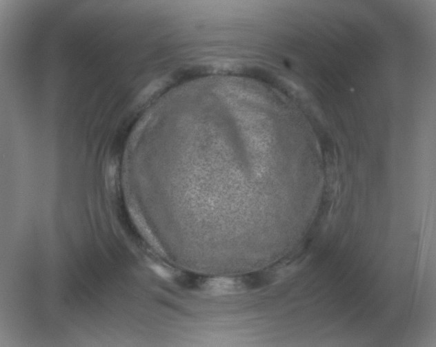 X0000082200123200702021854