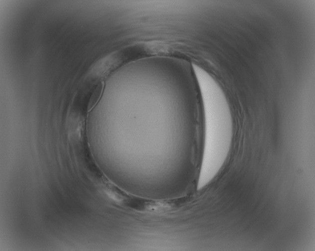 X0000082200125200702021854