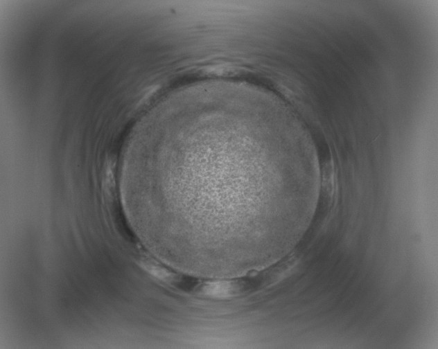 X0000082200127200702021854