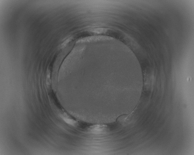 X0000082200128200702021854