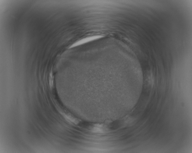 X0000082200130200702021854