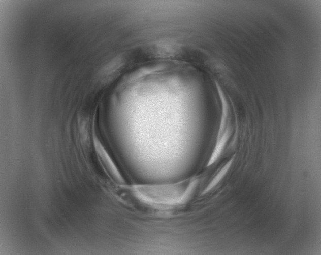 X0000082200131200702021854