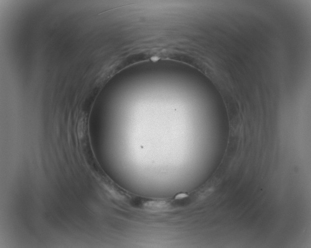 X0000082200133200702021854