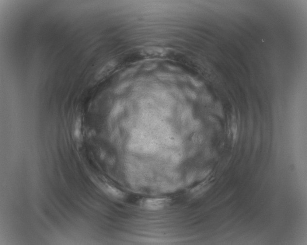 X0000082200134200702021854