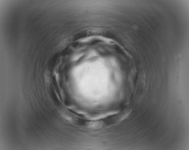 X0000082200135200702021854