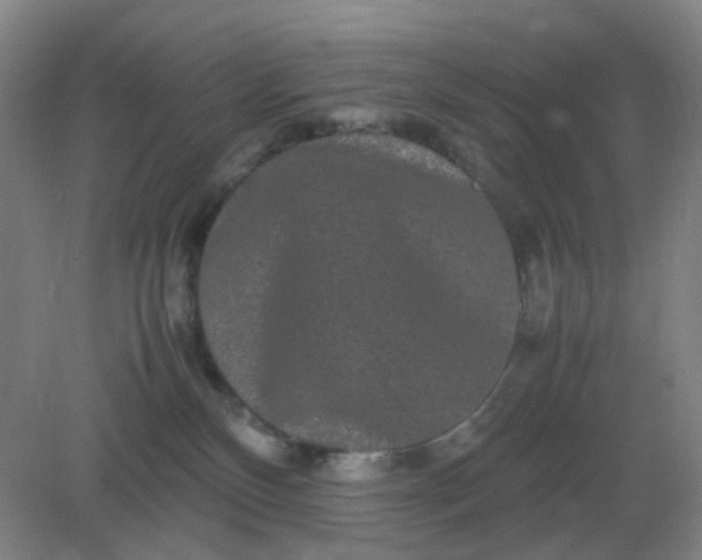 X0000082200136200702021854