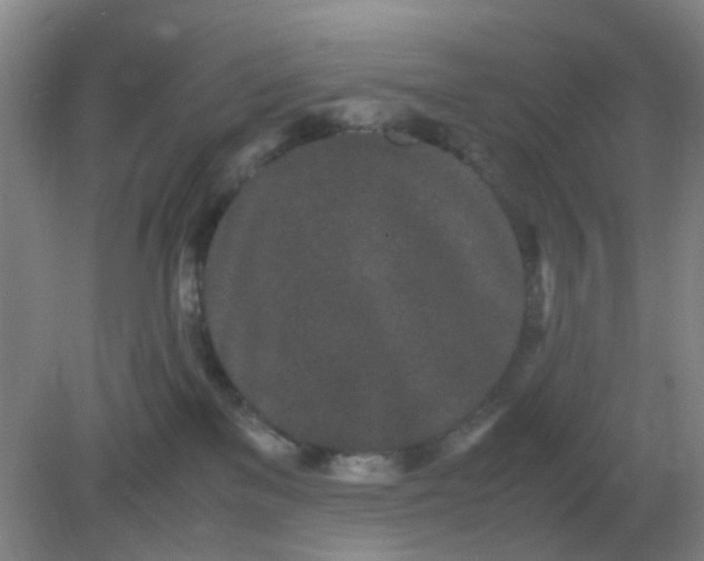 X0000082200137200702021854