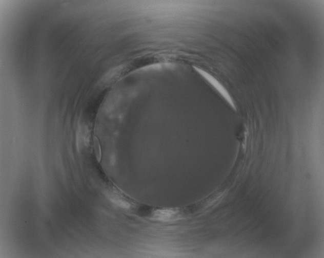 X0000082200139200702021854