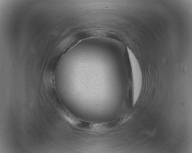 X0000082200141200702021854