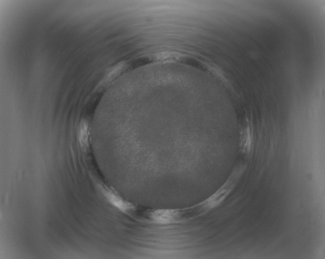 X0000082200142200702021854