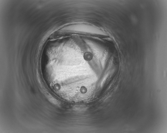 X0000082200145200702021853