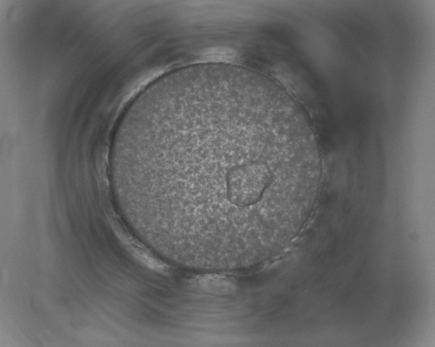 X0000082200146200702021853