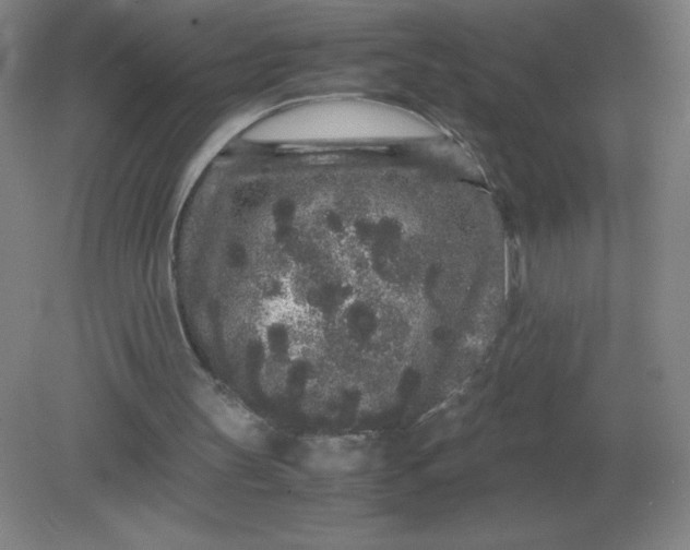 X0000082200147200702021853