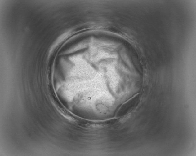 X0000082200149200702021853