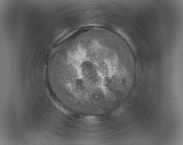 X0000082200153200702021853